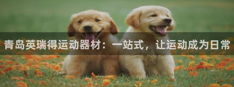 熊猫体育娱乐网站:青岛英瑞得运动器材:一站式,让运动成为日常