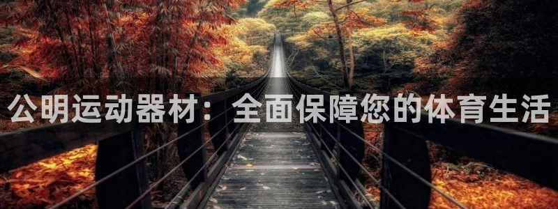 熊猫体育娱乐40996:公明运动器材:全面保障您的体育生活