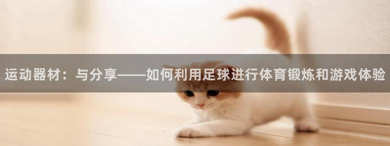 熊猫体育娱乐:运动器材:与分享——如何利用足球进行体育锻炼和